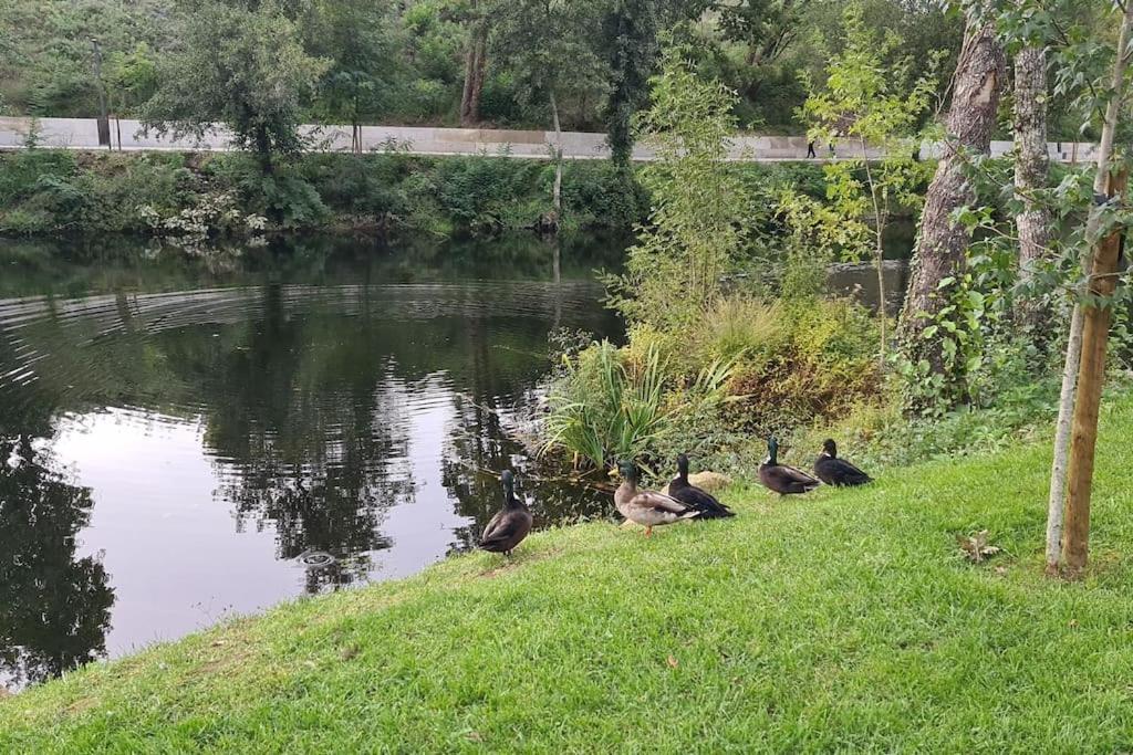 Nature E Spa Al - Termas Saude E Beleza, Totalmente Renovado - Piscinas Municipais Em Frente - Epoca Julho A Setembro São Pedro do Sul Exteriör bild