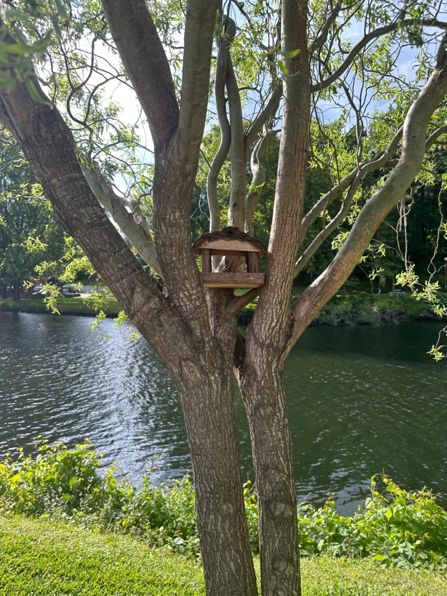 Nature E Spa Al - Termas Saude E Beleza, Totalmente Renovado - Piscinas Municipais Em Frente - Epoca Julho A Setembro São Pedro do Sul Exteriör bild